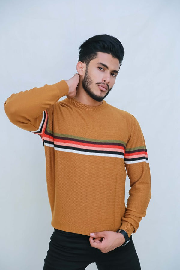 Cotton Round Neck Sweater